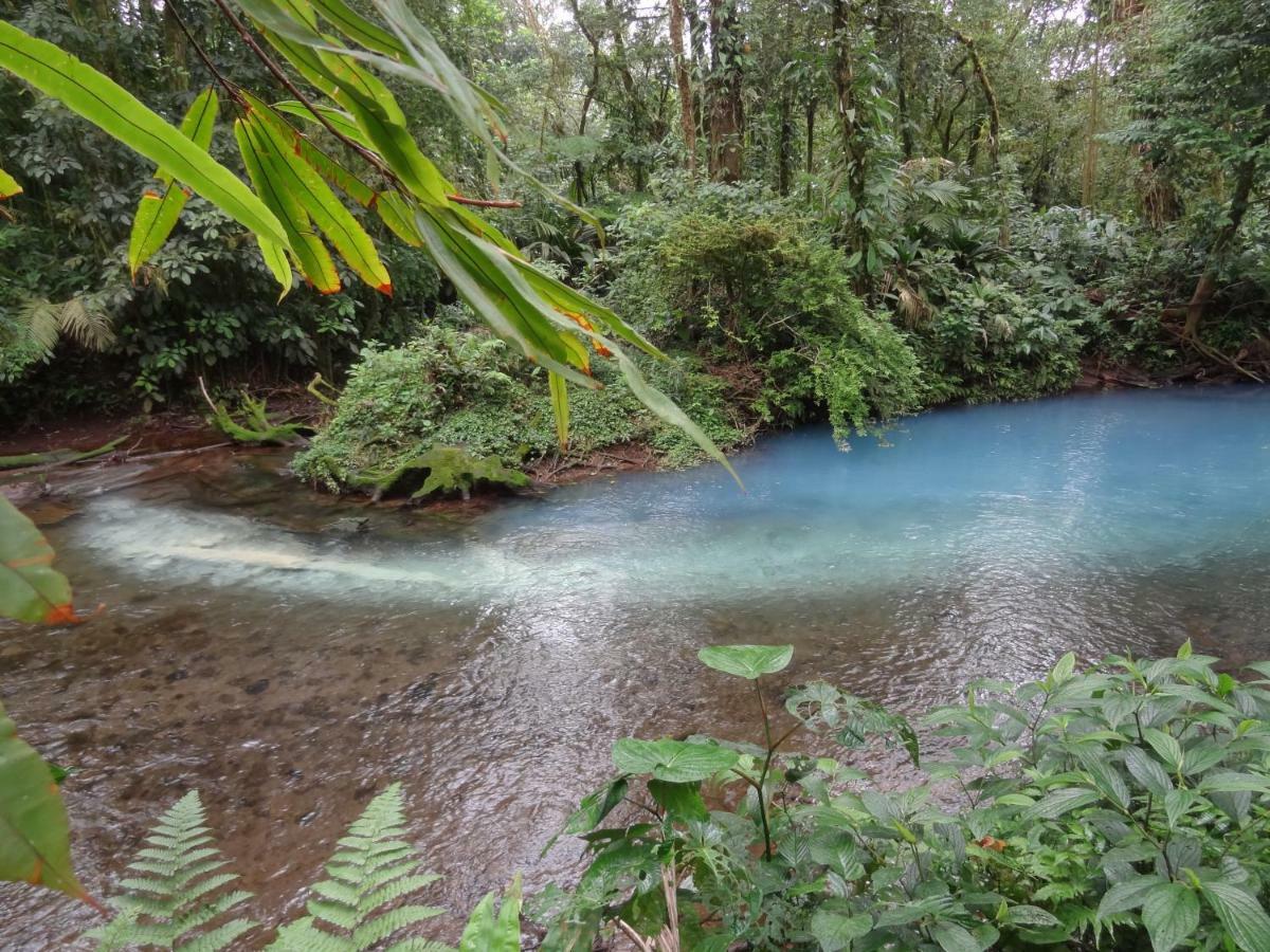 Hotel Rio Celeste Finca L' Etoile Celeste El Achiote Экстерьер фото