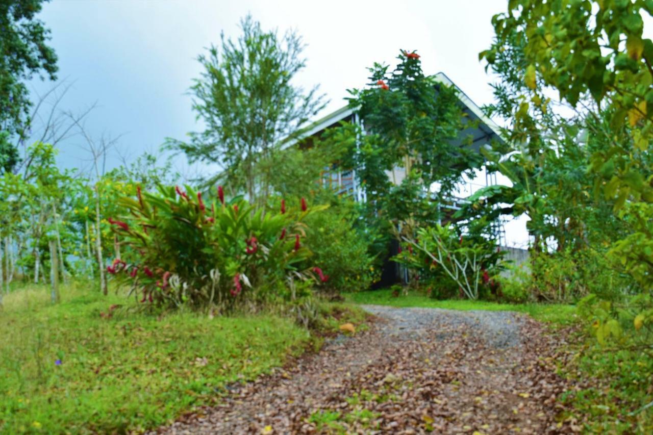 Hotel Rio Celeste Finca L' Etoile Celeste El Achiote Экстерьер фото